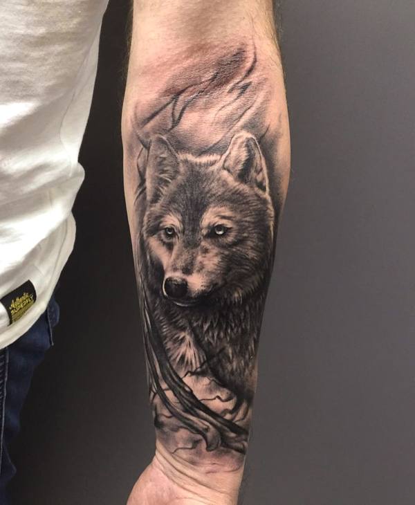 Black and gray realism wolf forearm tattoo by Cihan Pohrenk